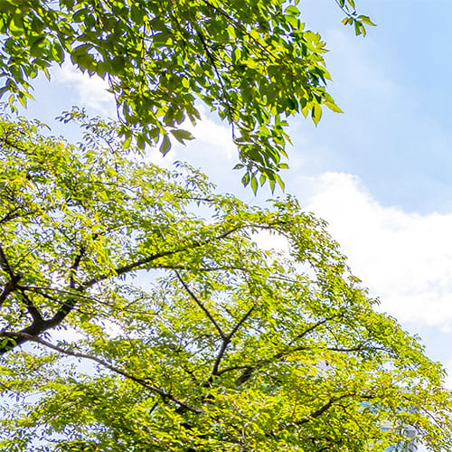 関目メンタルクリニック